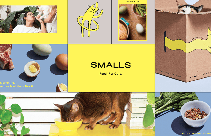 Smalls A Cat-Focused Pet Brand Secures $19M In Series B Funding Led By Companion Fund